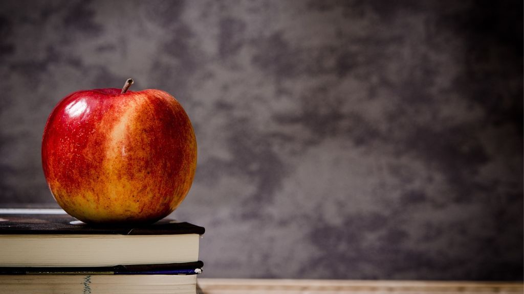 School expansion plans put on hold