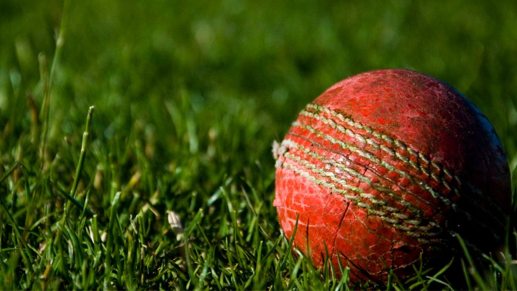 Independent schools dominating women’s cricket