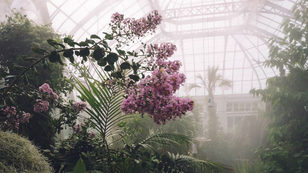 Greenhouse or hothouse?